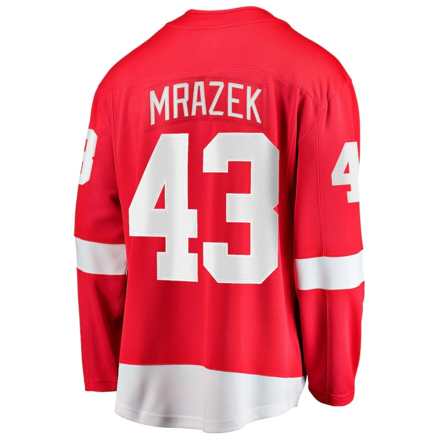 D.Red Wings #43 Petr Mrazek Fanatics Home Breakaway Jersey - Red Stitched American Hockey Jerseys